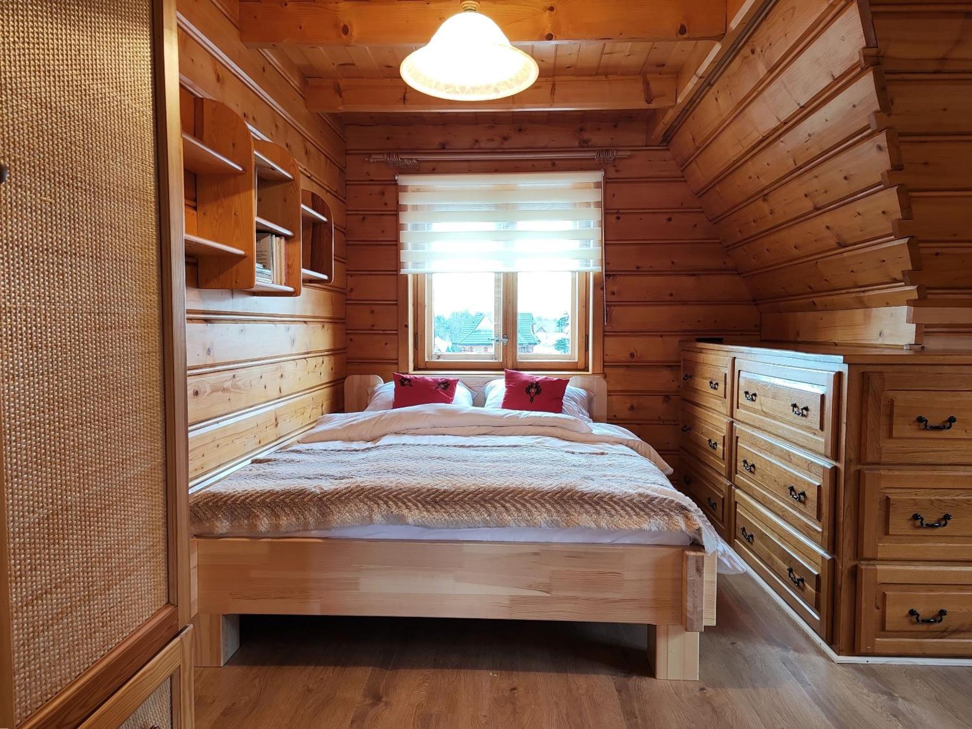 Sosna Zakopane