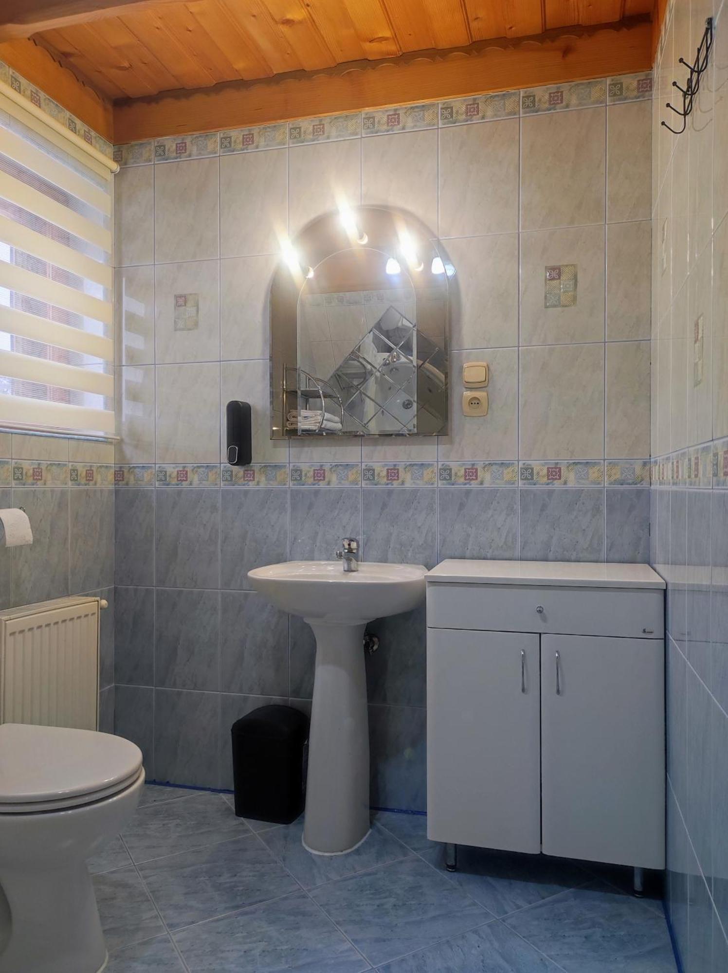 Apartment Sosna