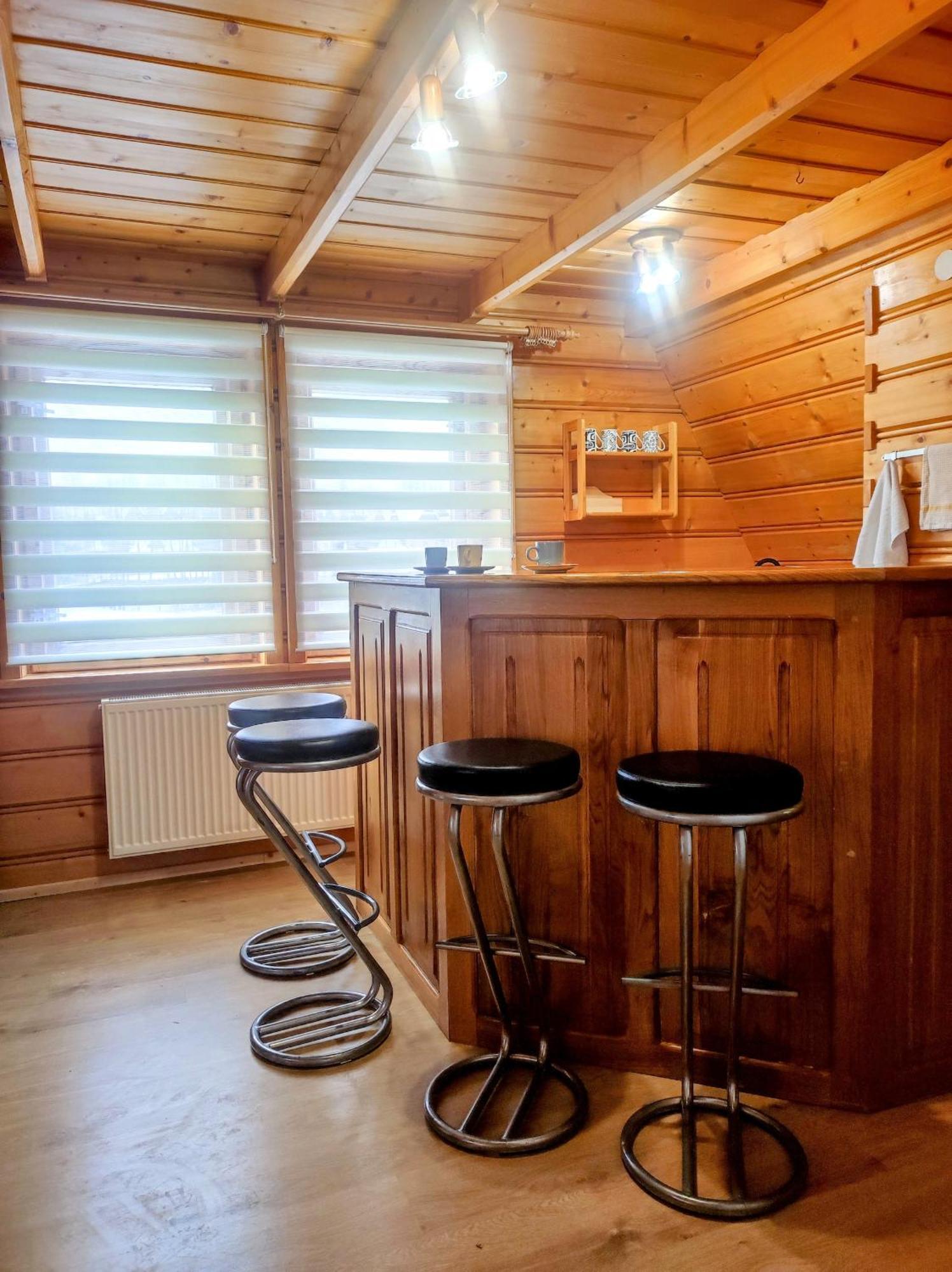Sosna Zakopane