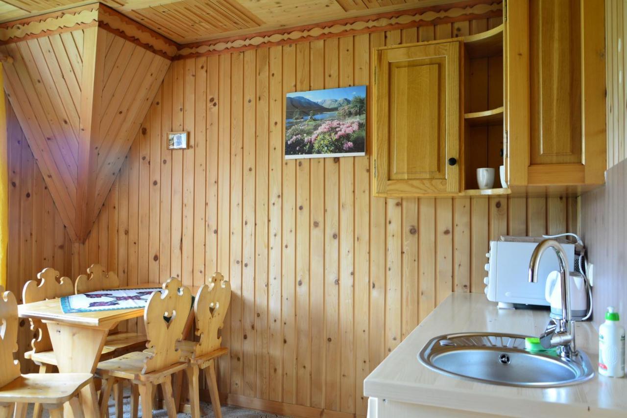Sosna Zakopane